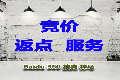 百度竞价排名机制：成功案例与策略探讨